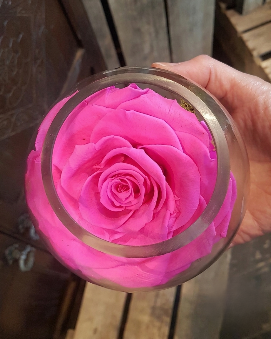 Forever Gem Rose in Pink